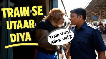 The TT mistook me for a monkey and threw me off the train 😤 || Baba Bunty New Vlog || Ai monkey v...