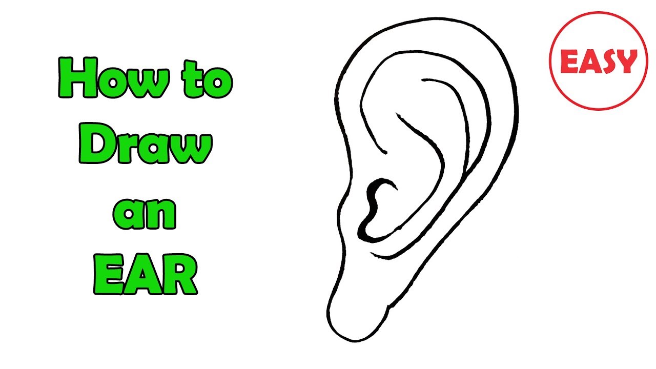 How to Draw an Ear Very Easy For Kids YouTube