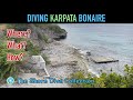 Diving Karpata Bonaire | The Shore Dive Collection | TropicLens - 4K