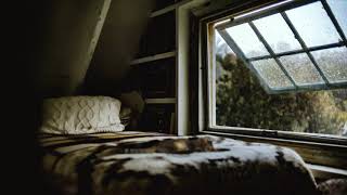 Rainy day in Bed [ASMR] House in nature 🐈 Kitty companion 🌧️ Rain and Thunder Ambience Window View YouTube