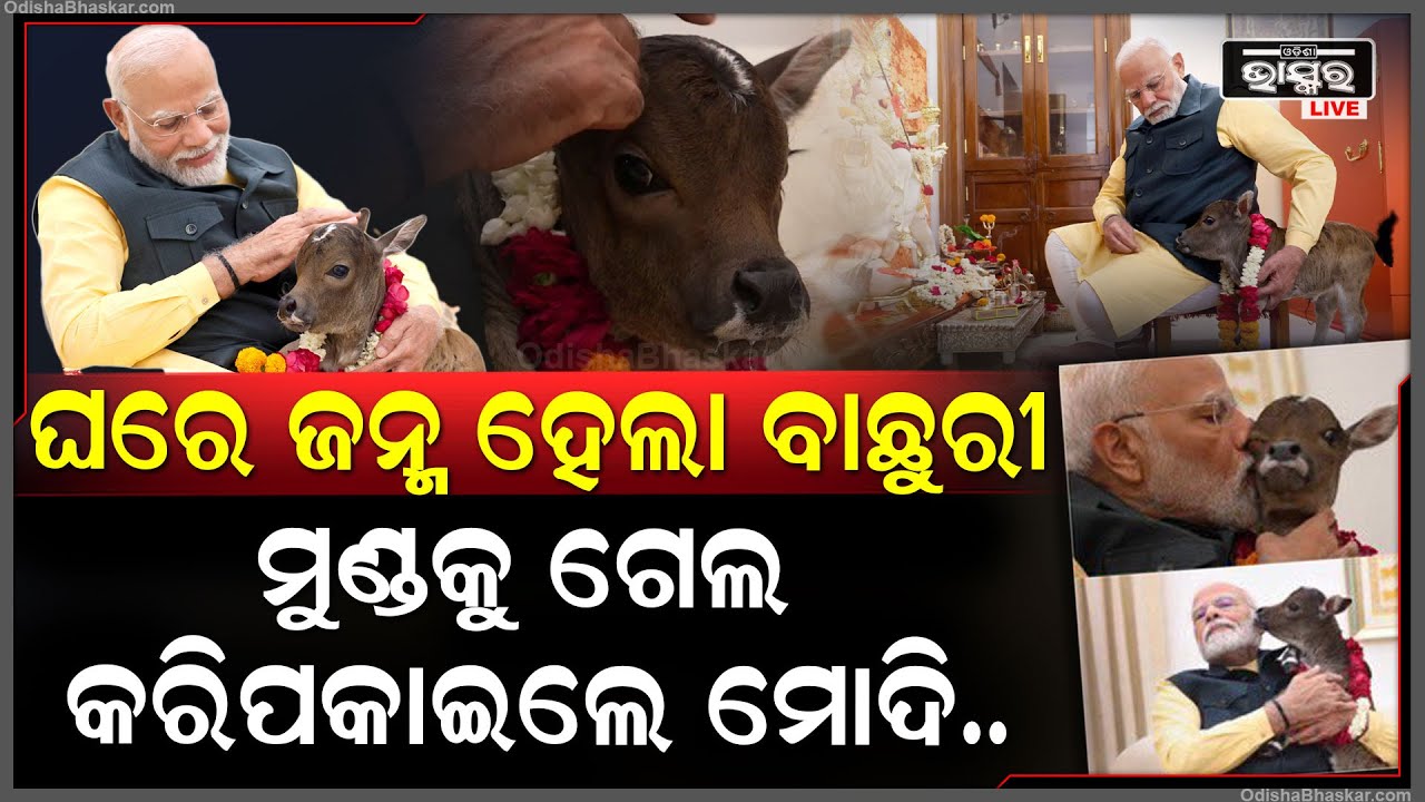 ପିଏମ ଆବାସରେ ଜନ୍ମ ନେଇଛି କୁନି ବାଛୁରି ଦ୍ୱୀପଜ୍ୟୋତି, ଯାହାର ନାମ ଦେଇଛନ୍ତି ପ୍ରଧାନମନ୍ତ୍ରୀ ନରେନ୍ଦ୍ର ମୋଦୀ