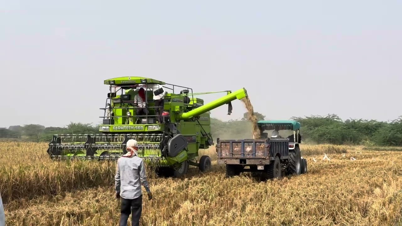 Dhan Katne Wali Machine | Dhan Machine | Food Bhaiya