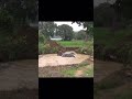 🐘 Rescue Mission Success!