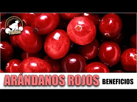 Video: Las Propiedades Curativas De Las Hojas Y Las Bayas De Arándano Rojo