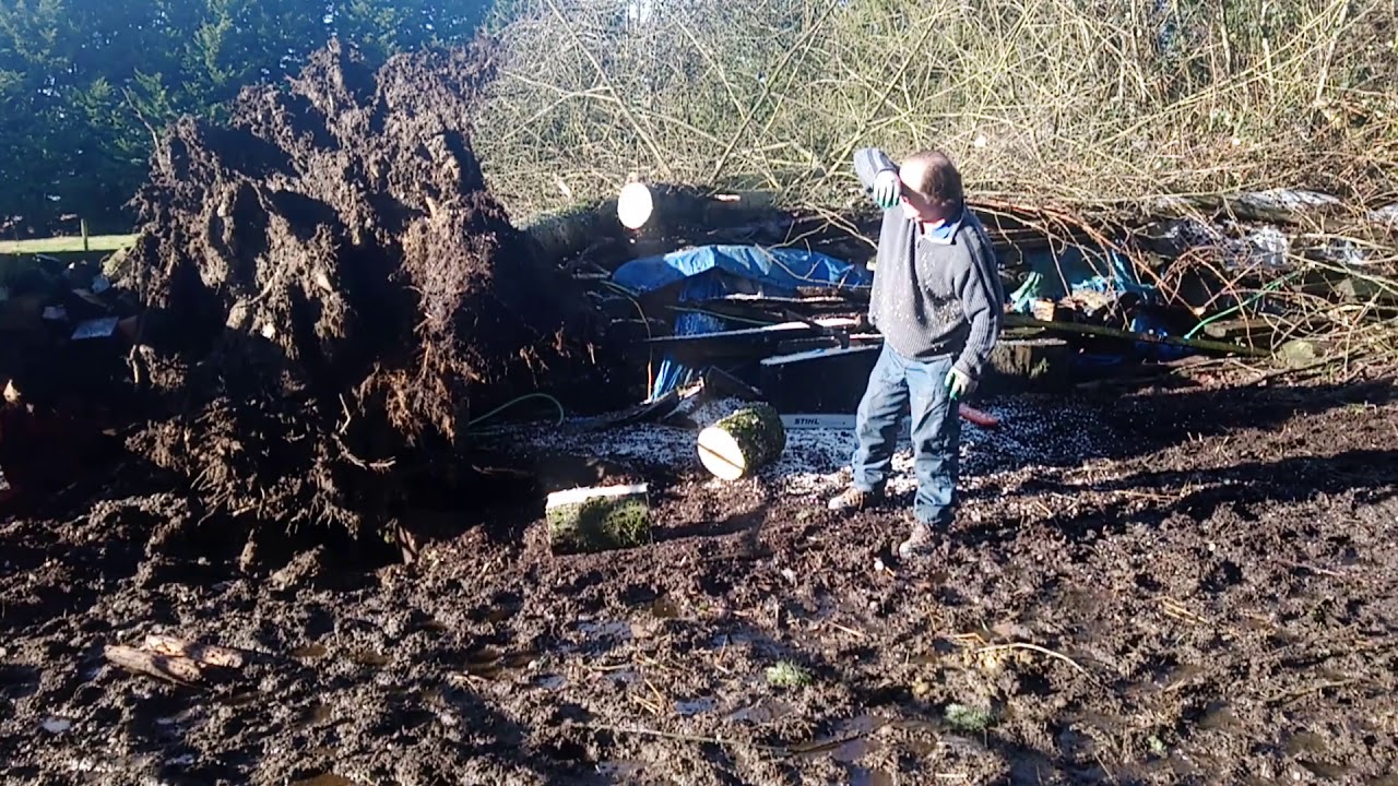 Clean up after wind storm - YouTube