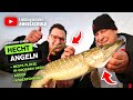HECHTANGELN im Winter in großen Seen 🎣🤩👍