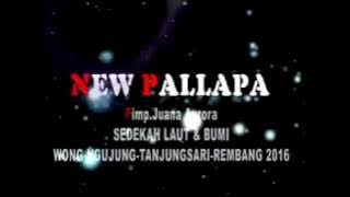 New pallapa tajamnya cinta