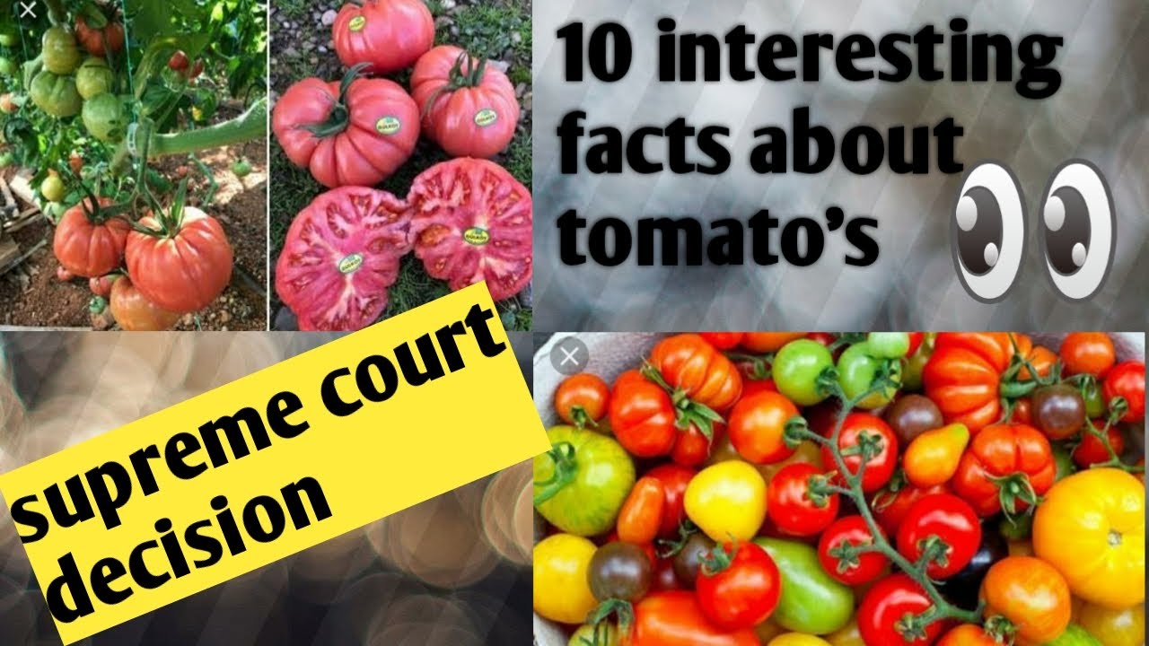 10 interesting facts about tomato's/Urdu/Hindi/English/2019 YouTube