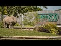 Chester Zoo Vlog July 2021