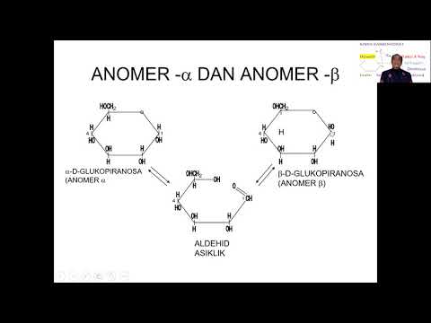 Kimia karbohidrat 2: Furanosa, piranosa, anomer, fungsi/ peran karbohidrat, disakarida, polisakarida
