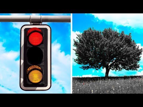 Что, если бы зеленый цвет исчез на 24 часа