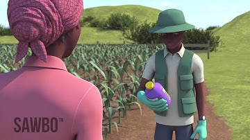 How to Identify and Scout for Fall Armyworm in Nepali (accent from Nepal)