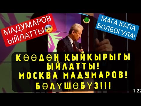 Видео: Өсгөвөрлөсөн чулууг битүүмжлэх ёстой юу?