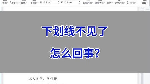 WPS Word文档排版：下划线不见了，怎么回事？#wps #excel