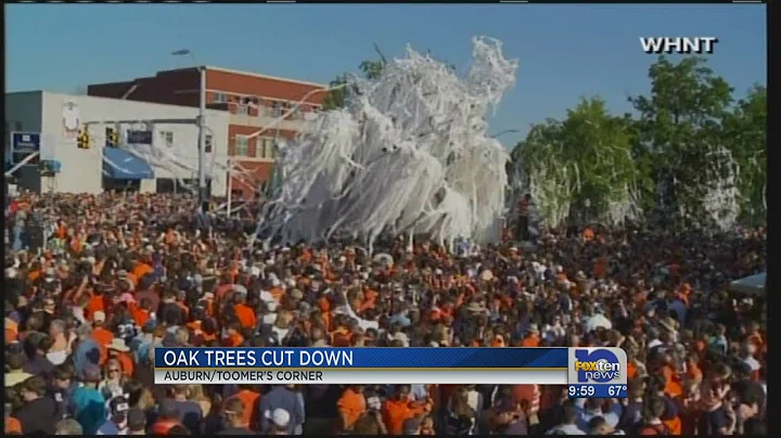 Toomers trees cut down