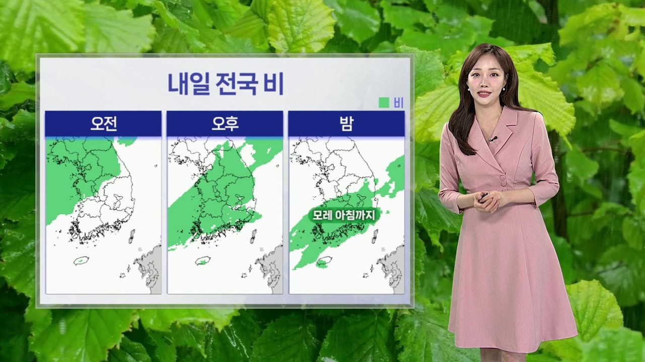 [날씨] 휴일 전국 세찬 가을비…강풍 동반 집중호우 / 연합뉴스TV (YonhapnewsTV)