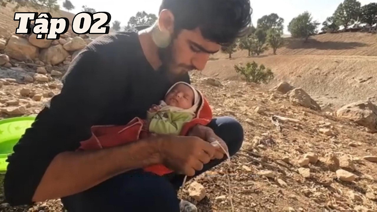 Salih 02 | Xót Xa Cảnh Salih Gà Trống Nuôi Con