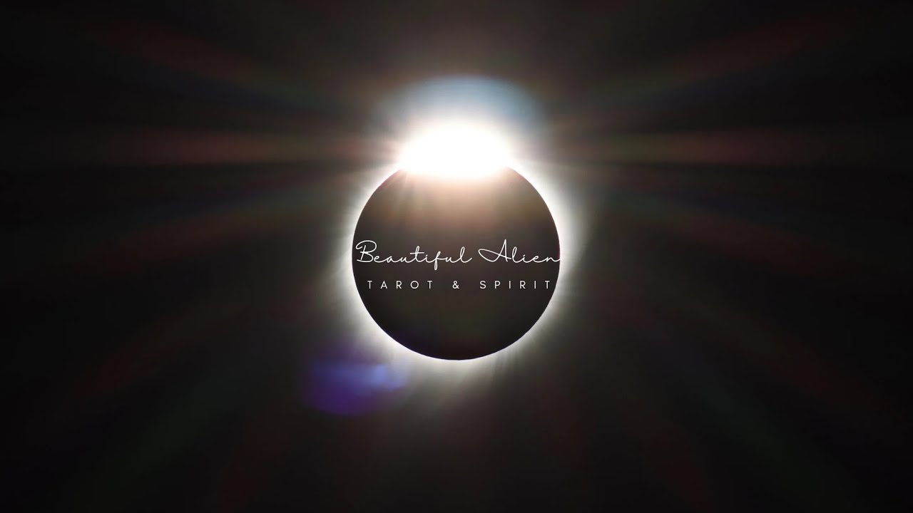 Hämähäkki kiipes langalle 🕸🕷