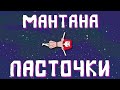 Мантана - Ласточки