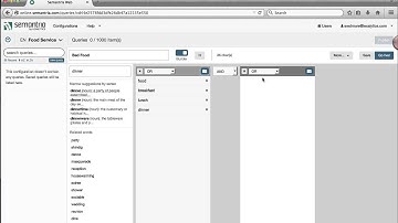 Semantria Web Configurator - Queries
