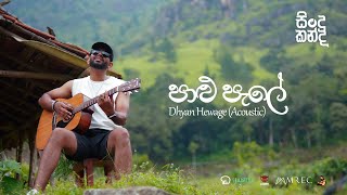 Dhyan Hewage - Sindu Kanda (සින්දු කන්ද) - Palu Pale Acoustic Version