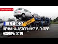 ЦЕНЫ НА АВТО В ЛИТВЕ, НОЯБРЬ 2019, ОБЗОР АВТОРЫНКА КЛАЙПЕДА / Avtoprigon.in.ua