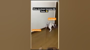 when developer becomes QA tester 🤣 #developer #tester #coding #techshorts #softwaredeveloper #funny
