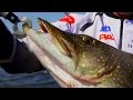 Pro Anglers League 2014. Второй этап. Официальные тренировки