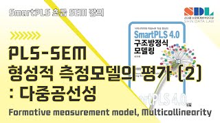 제25강 PLS-SEM 형성적 측정모델의 평가 (2) : 다중공선성