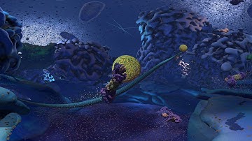 Cellscape VR Biology Guided Tour Animation