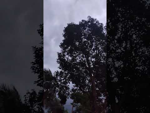 Village weather.. #shorts #ytshorts #weather