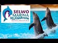 Дельфінарій Selwo Marina Benalmadena