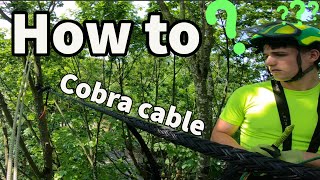 Cobra kit