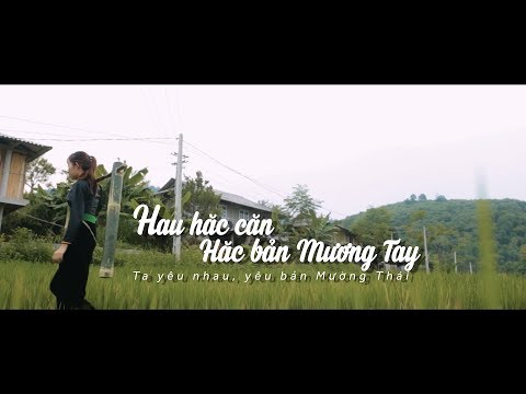 [MV] HAU HĂC