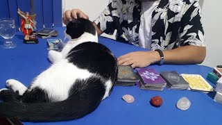 ? Ele(a) tem pensado em vc Como tem pensado  | Tarot Responde