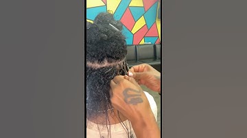 How to: 2 strand starter locs #locjourney #locs #dreadlocks #locstyles