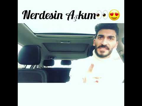 Nerdesin Video