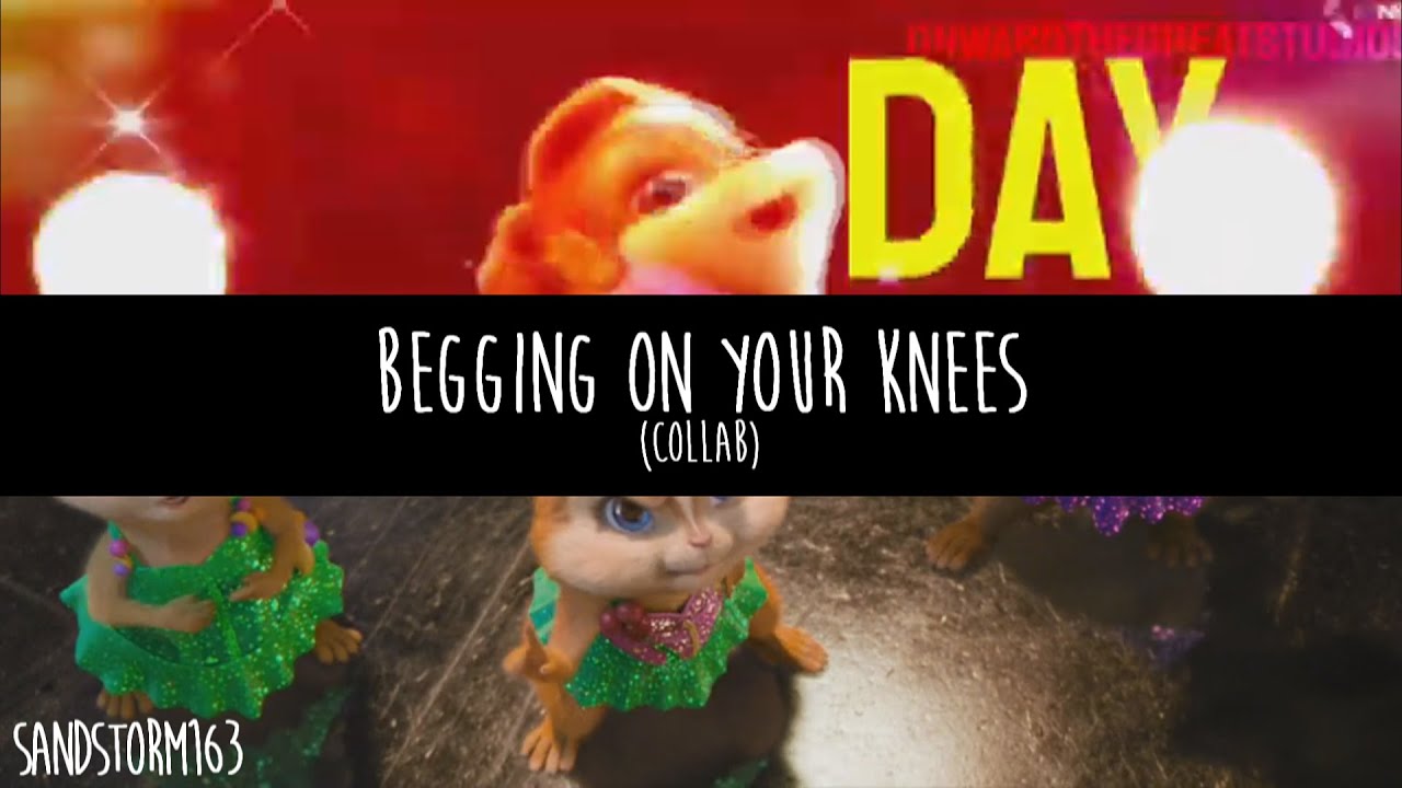 Chipettes - Begging On Your Knees [Collab w/Onward Edits]