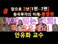 [앞으로3년 중국투자의 미래-통합편]부자 되는 기회! 꼭 잡으세요! (안유화교수) #신동일PB #김영익교수 #안유화교수 #3.1경제독립TV