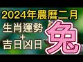 【古柏論命每月運勢+吉日凶日】2024年農曆二月(陽曆2024年3/10 ~ 4/8)生肖運勢分享 -  兔