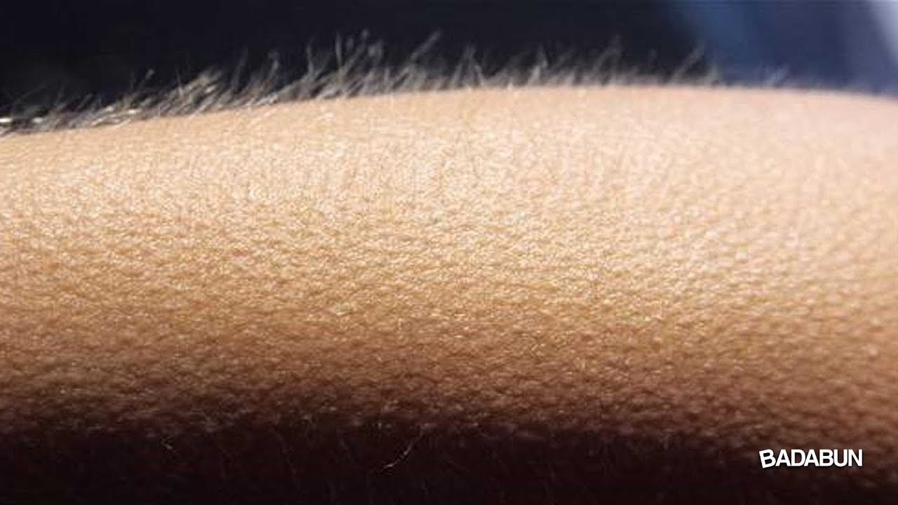 Cosas que tu cuerpo hace y no sabes para que sirven video phone beyonce mp3