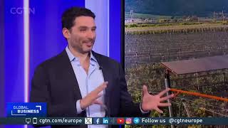 How Does Italy Balance Agriculture and Solar Energy in Agrivoltaic Projects?