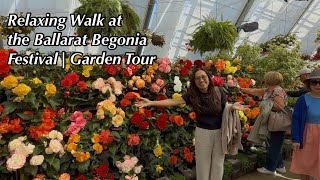 Walking Through the Ballarat Begonia Festival | Ballarat Botanical Gardens /14 March 2026