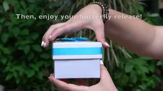 Cloverlawn Butterflies Release Instructions