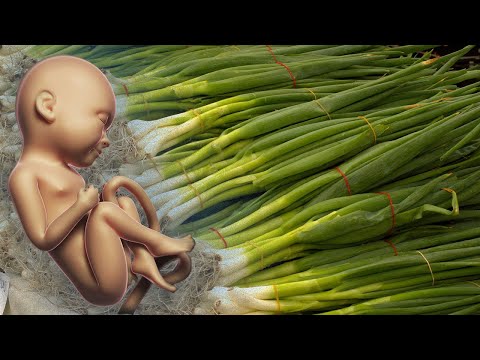 فيديو: المكورات العقدية في مسحة أثناء الحمل: الأسباب والأعراض والعلاج