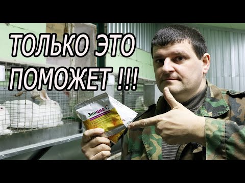 видео: ЭТОТ МЕТОД УБЬЕТ ЛЮБУЮ ЗАРАЗУ!!!