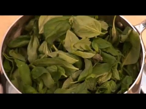 acuut Coördineren prijs How to Make Basil Panna Cotta (Part 1): Market Kitchen - YouTube
