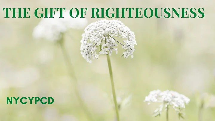 The Gift of Righteousness - DayDayNews