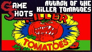 Attack of the Killer Tomatoes - [NES Game Shots] screenshot 3