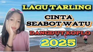 LAGU TARLING CINTA SEABOT WATU DANGDUT KOPLO